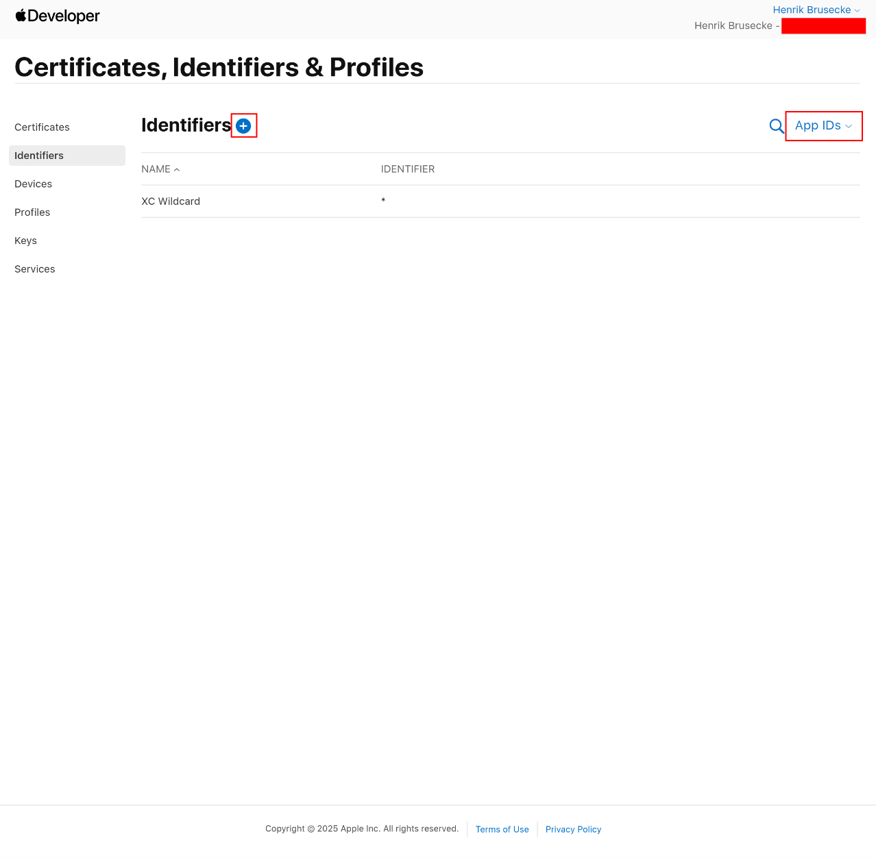 Apple Application 10