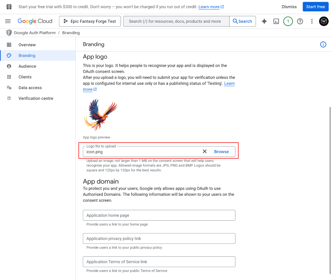 Google Application 11