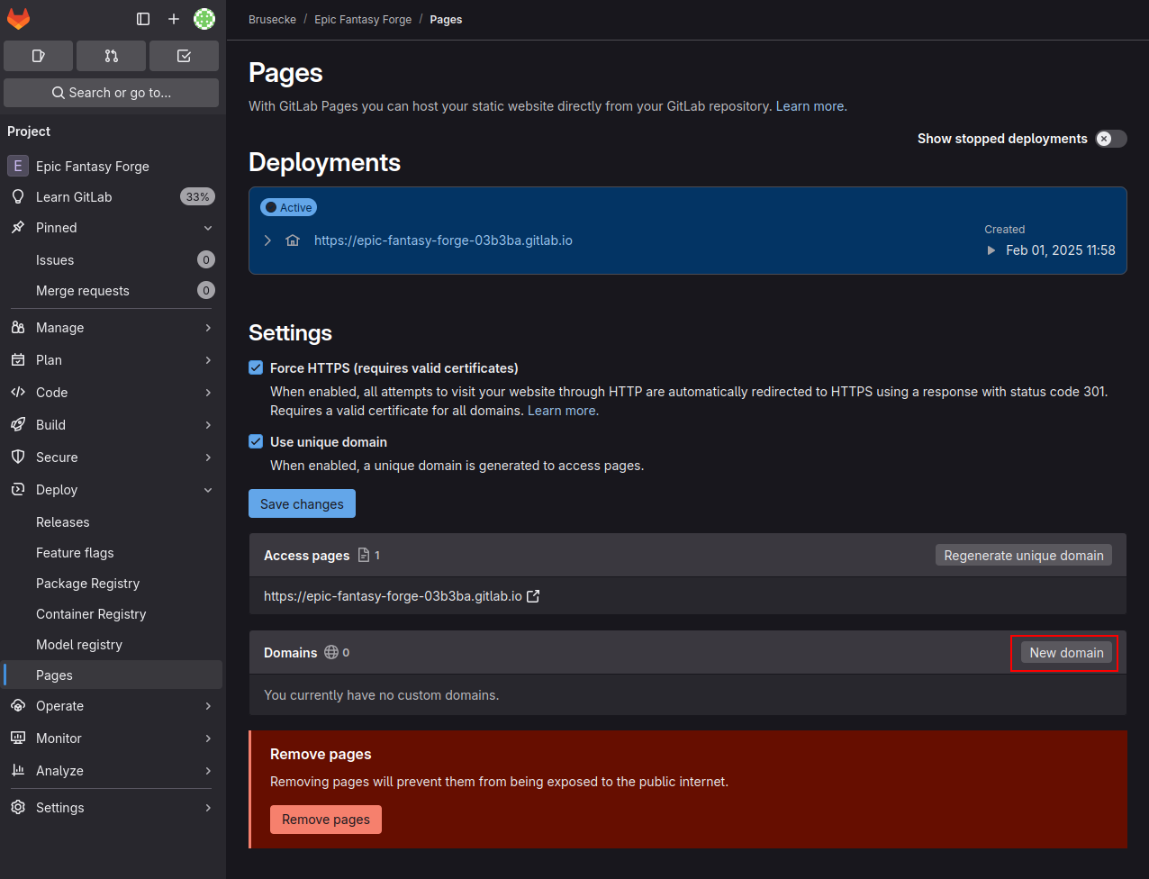 GitLab Custom Domain 1