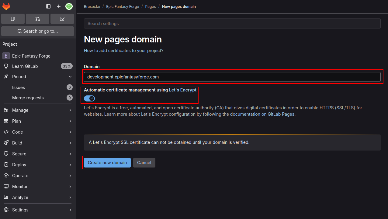 GitLab Custom Domain 2