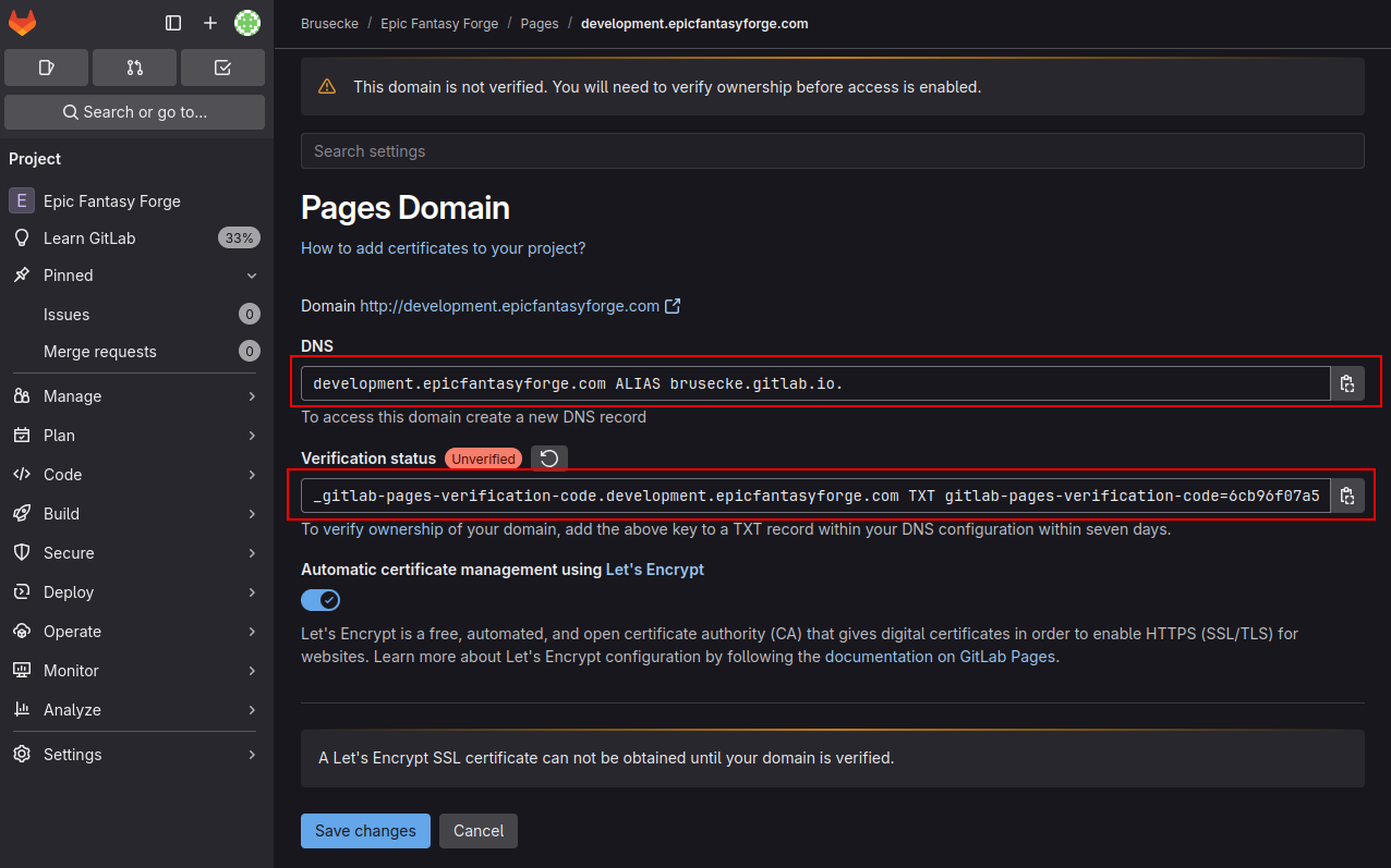 GitLab Custom Domain 3