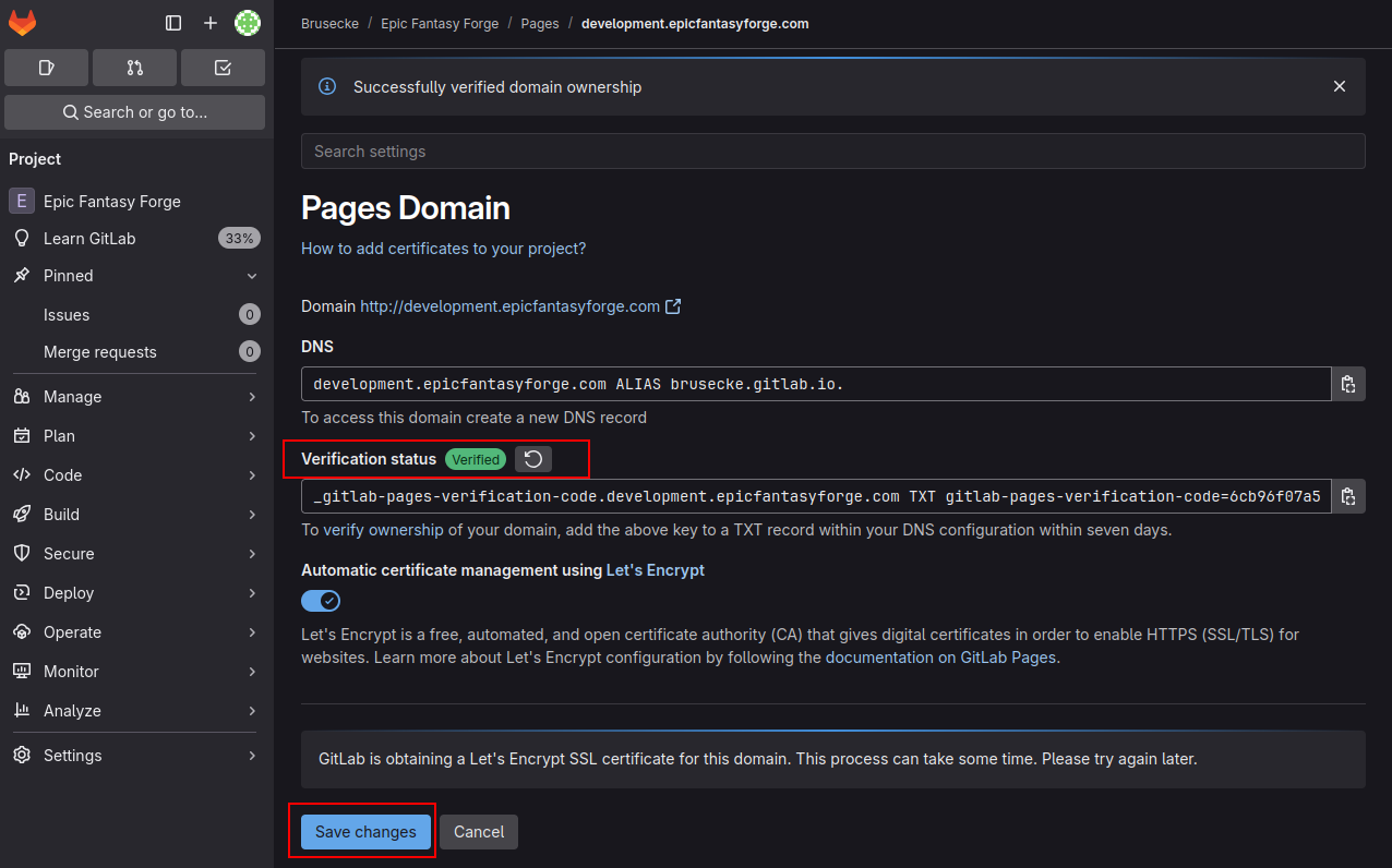 GitLab Custom Domain 6
