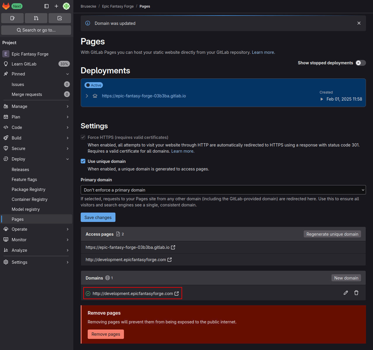 GitLab Custom Domain 7