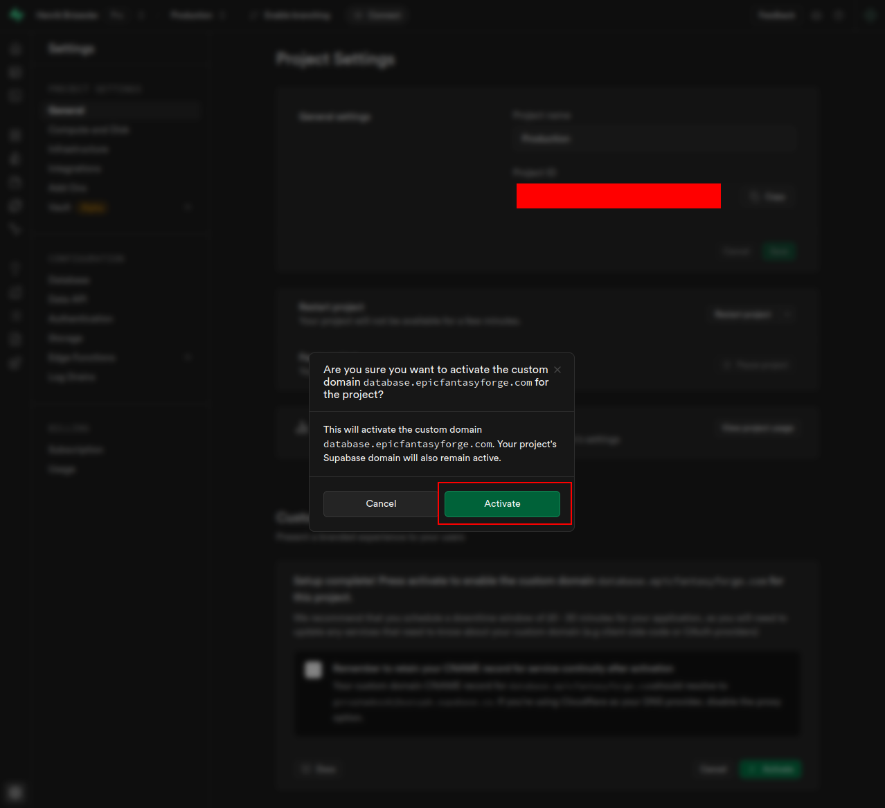 Supabase Custom Domain 9