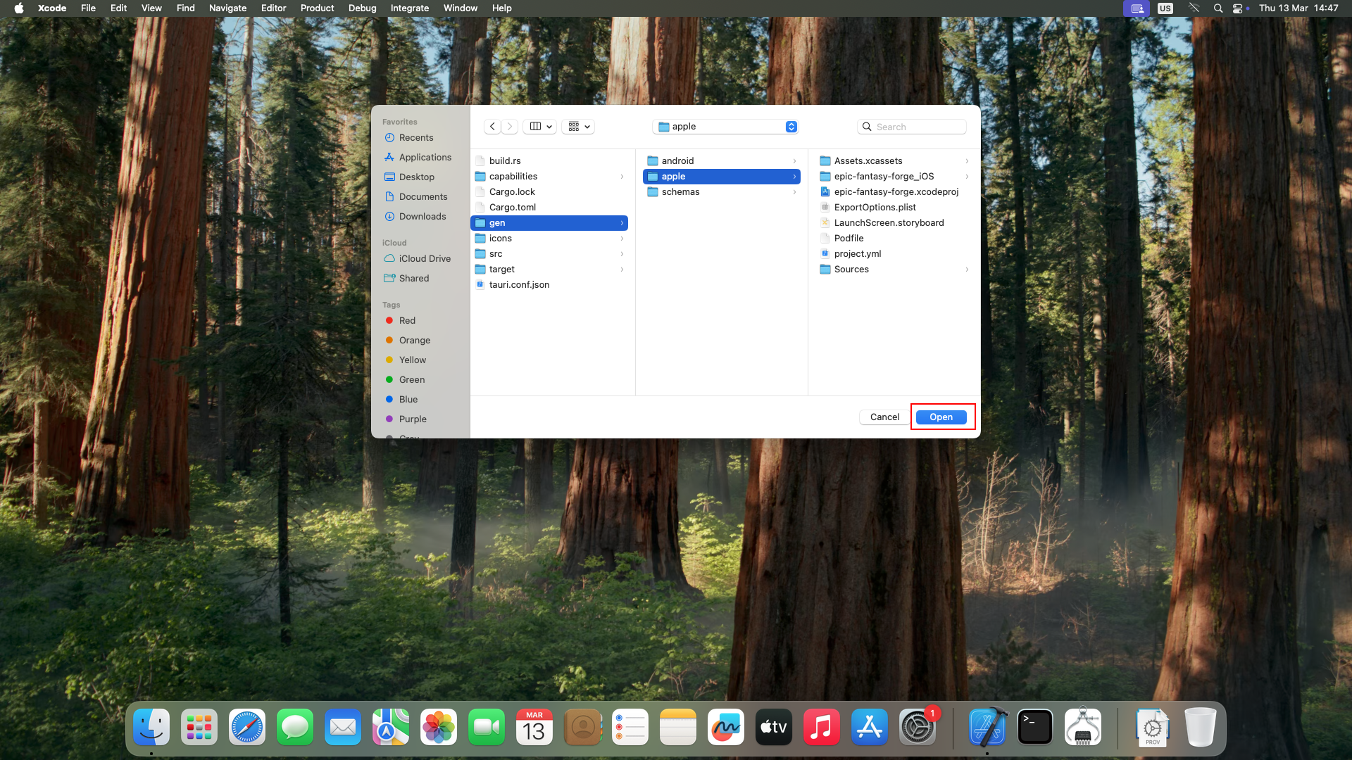 Xcode 3